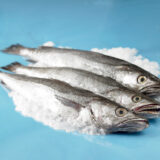 Merluza - Prueba web