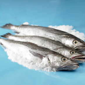 Merluza - Prueba web